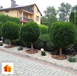 ASR-DS-51011 - zdjęcie nr 0