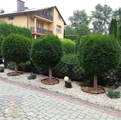 273-DS-FYsfc4UjoL - zdjęcie nr 0