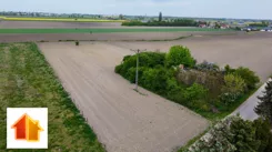 118-GS-FYsfc4UjoL - zdjęcie nr 1