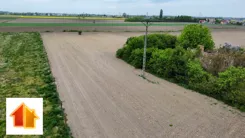 118-GS-FYsfc4UjoL - zdjęcie nr 3