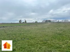 101-GS-FYsfc4UjoL - zdjęcie nr 2