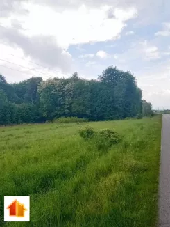 ASR-GS-48643 - zdjęcie nr 2