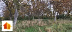ASR-GS-51302 - zdjęcie nr 3