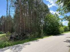 163-GS-FYsfc4UjoL - zdjęcie nr 3