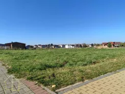 165-GS-FYsfc4UjoL - zdjęcie nr 0