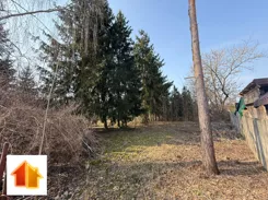 94-GS-FYsfc4UjoL - zdjęcie nr 2