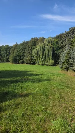 298-GS-FYsfc4UjoL - zdjęcie nr 3