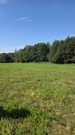 298-GS-FYsfc4UjoL - zdjęcie nr 4
