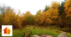APO-GS-49808 - zdjęcie nr 4