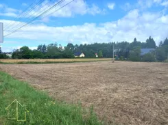 203-GS-FYsfc4UjoL - zdjęcie nr 2