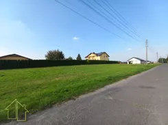 293-GS-FYsfc4UjoL - zdjęcie nr 2