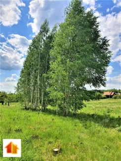 ASM-GS-46401 - zdjęcie nr 0