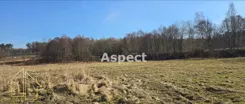 AP1-GS-51488 - zdjęcie nr 0