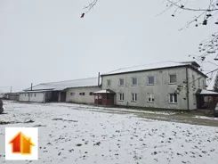 65-IS-FYsfc4UjoL - zdjęcie nr 2