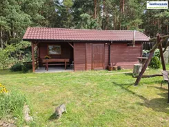 DS-15004 - zdjęcie nr 4
