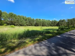 GS-15039 - zdjęcie nr 1