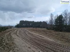 GS-14477 - zdjęcie nr 3