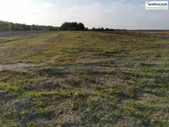 GS-14986 - zdjęcie nr 1
