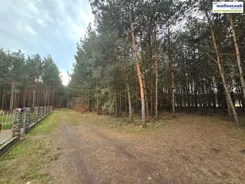 GS-15063 - zdjęcie nr 3