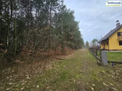GS-15064 - zdjęcie nr 2