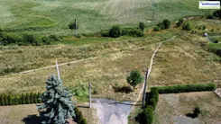 GS-14982 - zdjęcie nr 0