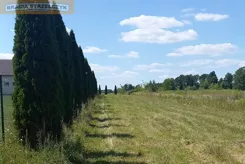 144/9046/OGS - zdjęcie nr 3
