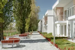 Pino Resort - zdjęcie nr 3