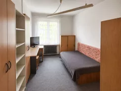 A-D169726 - zdjęcie nr 1