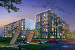 29. Aleja - zdjęcie nr 1