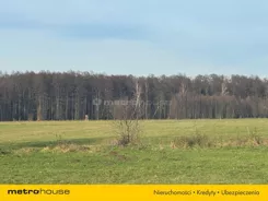 SDHIHY223 - zdjęcie nr 0