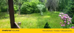SDDOVA818 - zdjęcie nr 4