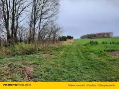 CAMI662 - zdjęcie nr 4