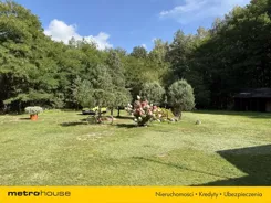 SDFEHO694 - zdjęcie nr 2