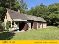 SDFEHO694 - zdjęcie nr 3