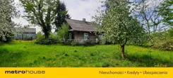 SDGEDY973 - zdjęcie nr 0