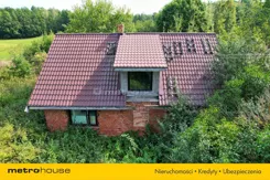 SDGOJU335 - zdjęcie nr 3