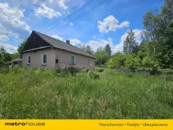 SDJOZE137 - zdjęcie nr 0