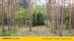 SDZEHE638 - zdjęcie nr 2