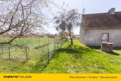 SDVOMY253 - zdjęcie nr 2