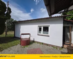 SDLUDU491 - zdjęcie nr 3