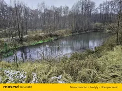 MOZO591 - zdjęcie nr 0