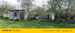SDFENY993 - zdjęcie nr 3