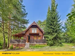 SDCALY784 - zdjęcie nr 0