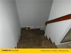 CANE945 - zdjęcie nr 3