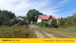 SDSUZY110 - zdjęcie nr 0