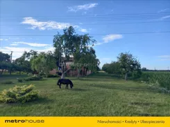 SUXI873 - zdjęcie nr 2