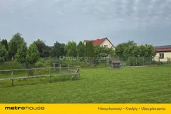 SDLOFY848 - zdjęcie nr 4