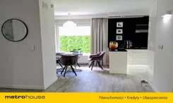SDGADI781 - zdjęcie nr 3