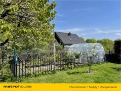 CAFI116 - zdjęcie nr 4