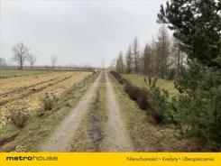 XOHI868 - zdjęcie nr 2